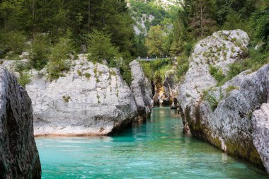 Lepena, Slovenya - 17 Temmuz 2024: Slovenya Velika korita 'daki Soca Gorge, Soca Nehri. Lepena Vadisi, Julian Alps, Bovec Belediyesi, Slovenya, Avrupa