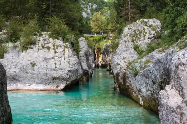 Lepena, Slovenya - 17 Temmuz 2024: Slovenya Velika korita 'daki Soca Gorge, Soca Nehri. Lepena Vadisi, Julian Alps, Bovec Belediyesi, Slovenya, Avrupa