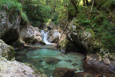 Slovenya 'nın Julian Alpleri' ndeki Lepena vadisinde güzel şelaleler ya da küçük şelaleler. Büyülü bir ormanda zümrüt yeşili şelaleler. Sunikov Vodni Gaj Doğa Koruma Alanı, Slovenya