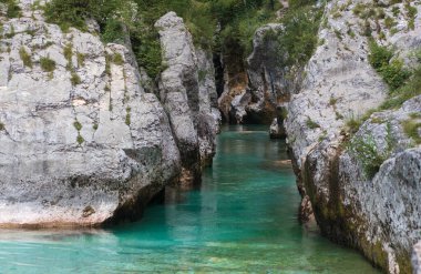 Slovenya Velika Korita 'daki Soca Vadisi' nde. Lepena Vadisi, Julian Alps, Bovec Belediyesi, Slovenya, Avrupa