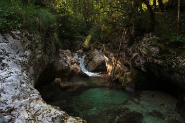 Slovenya 'nın Julian Alpleri' ndeki Lepena vadisinde güzel şelaleler ya da küçük şelaleler. Büyülü bir ormanda zümrüt yeşili şelaleler. Sunikov Vodni Gaj Doğa Koruma Alanı, Slovenya