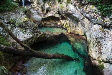 Karst, Slovenya 'nın Sunikov Vodni Gaj Doğa Koruma Alanı' ndaki Lepenica Nehri 'nde kayalık.