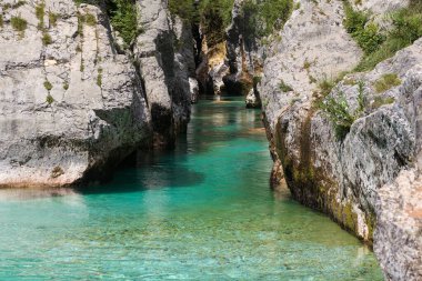 Slovenya Velika Korita 'daki Soca Vadisi' nde. Lepena Vadisi, Julian Alps, Bovec Belediyesi, Slovenya, Avrupa