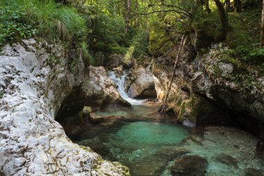 Slovenya 'nın Julian Alpleri' ndeki Lepena vadisinde güzel şelaleler ya da küçük şelaleler. Büyülü bir ormanda zümrüt yeşili şelaleler. Sunikov Vodni Gaj Doğa Koruma Alanı, Slovenya