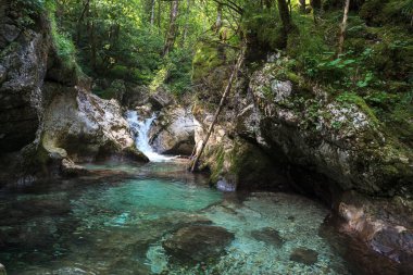 Slovenya 'nın Julian Alpleri' ndeki Lepena vadisinde güzel şelaleler ya da küçük şelaleler. Büyülü bir ormanda zümrüt yeşili şelaleler. Sunikov Vodni Gaj Doğa Koruma Alanı, Slovenya