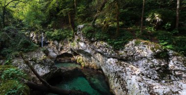 Slovenya 'nın Julian Alpleri' ndeki Lepena vadisinde güzel şelaleler ya da küçük şelaleler. Büyülü bir ormanda zümrüt yeşili şelaleler. Sunikov Vodni Gaj Doğa Koruma Alanı, Slovenya