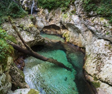 Slovenya 'nın Julian Alpleri' ndeki Lepena vadisinde güzel şelaleler ya da küçük şelaleler. Büyülü bir ormanda zümrüt yeşili şelaleler. Sunikov Vodni Gaj Doğa Koruma Alanı, Slovenya