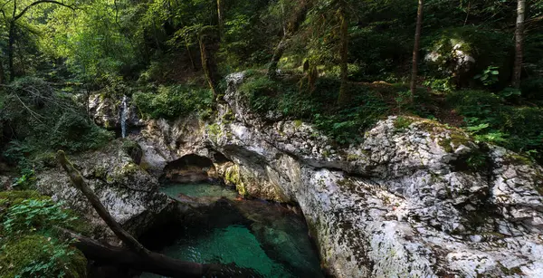 Slovenya 'nın Julian Alpleri' ndeki Lepena vadisinde güzel şelaleler ya da küçük şelaleler. Büyülü bir ormanda zümrüt yeşili şelaleler. Sunikov Vodni Gaj Doğa Koruma Alanı, Slovenya