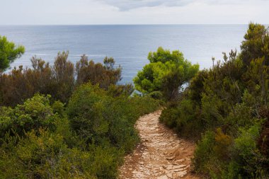 Denize giden yol. Hırvatistan 'da yaz mevsiminde Kap Kamenjak ve Premantura' nın manzara etkileri