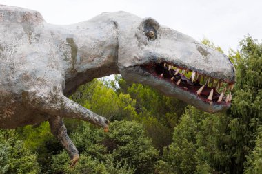 Premantura 'daki Kap Kamenjak Ulusal Parkı' nda dinozor Tyrannosaurus Rex heykellerini kapatın.