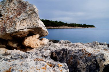 Hırvatistan 'ın Istria kentindeki Medulin belediyesindeki Premantura yarımadasındaki Kamenjak Ulusal Parkı' nın engebeli kireçtaşı manzarası yaz mevsiminde
