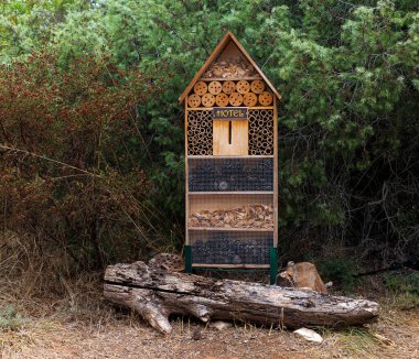 Bir yaz bahçesinde kompartımanları ve doğal bileşenleri olan dekoratif böcek evi. Tahta böcek evi dekoratif böcek oteli, uğur böceği ve arı yuvası kelebek kış uykusu ve ekolojik bahçe işleri için. Kamenjak Ulusal Parkı, Premantura