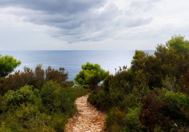 Denize giden yol. Hırvatistan 'da yaz mevsiminde Kap Kamenjak ve Premantura' nın manzara etkileri