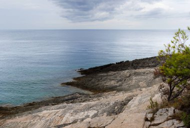 Hırvatistan 'ın Istria kentindeki Medulin belediyesindeki Premantura yarımadasındaki Kamenjak Ulusal Parkı' nın engebeli kireçtaşı manzarası yaz mevsiminde