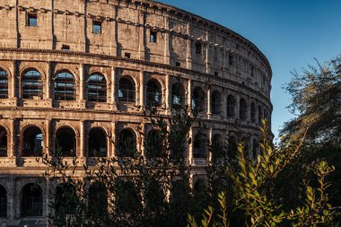 Roma, İtalya - Kasım 2022 Kolezyum Roma arenasının güzel mimarisi