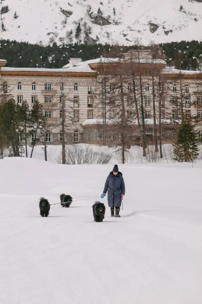 瑞士马洛哈 2024年3月 优雅的马洛哈宫酒店的建筑 周围环绕着雪山 图库图片