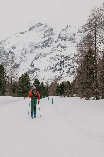 Saint Moritz Sviçre Mart 2024 Sils Gölü Maloja Köyü Etrafında Stok Resim