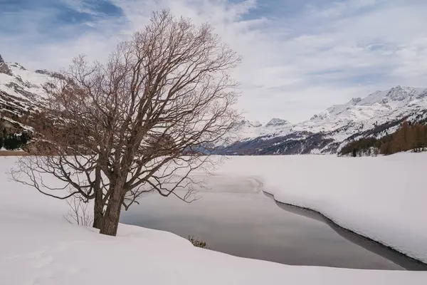 瑞士圣莫里茨 2024年3月 塞尔斯湖和马洛亚村周围积雪覆盖的令人震惊的山脉 图库照片