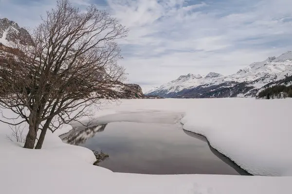 スイスのセントモリッツ 2024年3月 シルズ湖とマロハ村の周りの雪に覆われた息をのむような山 ロイヤリティフリーのストック写真