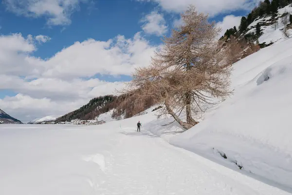 スイスのセントモリッツ 2024年3月 シルズ湖とマロハ村の周りの雪に覆われた息をのむような山 ストック写真