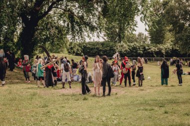 Novegro, Milano - Mayıs 2024: Çizgi roman festivali