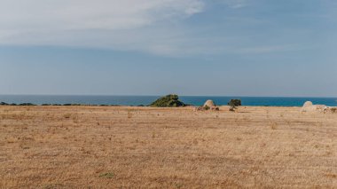 Puglia 'daki sahil kenarındaki eski Trulli evleri.