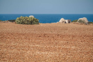 Puglia 'daki sahil kenarındaki eski Trulli evleri.