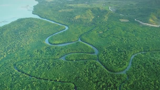 熱帯林の空中ビュー 川のベッドは湖に流れ込む 緑の丘の風景や経路 日差しの中でヤシの木 素晴らしい美しい自然 青と緑のトーン 旅の雰囲気 — ストック動画
