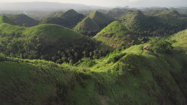 时光流逝的青草山丘空中 山间小径 美丽的菲律宾人在多雾的夏日里 没有人带着绿树成荫 菲律宾在电影无人机视图方面的里程碑 — 图库照片