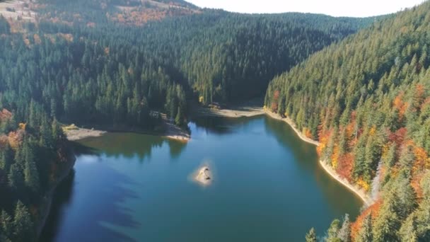 緑の木のシルエットをイメージした美しい落ち着いた深い青い湖 秋の上の眺めの森林の丘 カルパティアの山々 ウクライナの美しさの自然 夏休みについて 4Kについて — ストック動画