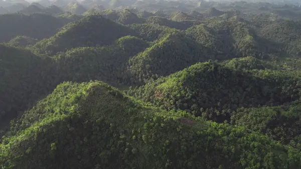 Timelapse 필리핀 언덕보기 거대한 나무에 계곡으로 아무도 연약한 Hyperlapse 무인비행기 — 스톡 사진