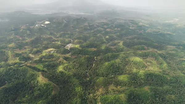 Azja Mgła Wznosi Się Szczyty Widok Lotu Ptaka Zielone Wzgórze Obraz Stockowy