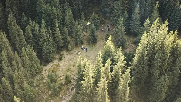 마운틴피어 풍경은 없습니다 바위투성이 소나무들 우크라이나 유럽의 카르파티아 산맥에서의 놀라운 스톡 사진