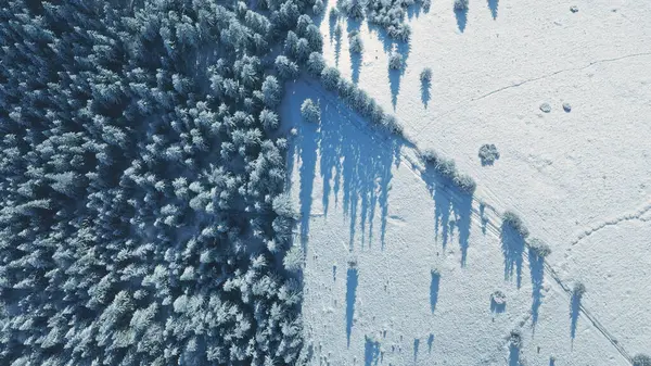 Fent Hóhegy Antennáján Fenyőerdő Úton Senki Természet Táj Télen Napfenyő Jogdíjmentes Stock Fotók