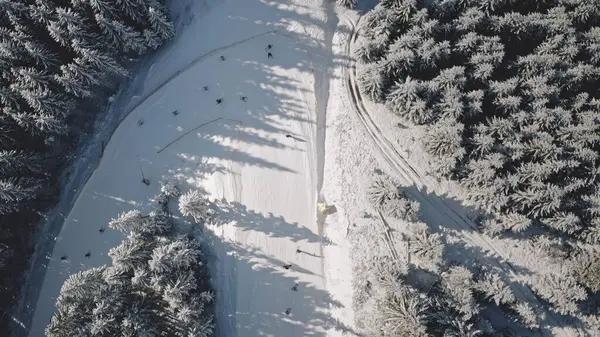 내리는 산비탈 상공입니다 스키타고 스노보드타고 전나무 사람들 영화에 등장하는 카르파티아 스톡 사진