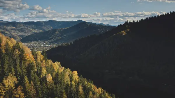 Fjällpinjeskog Hösten Ingen Natur Landskap Gröna Träd Gräs Vid Berget — Stockfoto