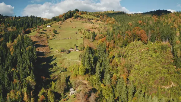 가을에는 녹색의 마을입니다 풍경은 없습니다 산꼭대기에는 소나무 풀밭이 펼쳐져 카르파티아 로열티 프리 스톡 이미지