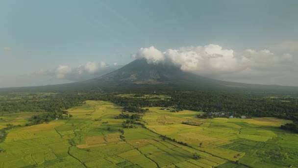 Reisterrassenfelder Bei Vulkanausbruch Aus Der Luft Grüne Landwirtschafts Wiese Niemand — Stockvideo