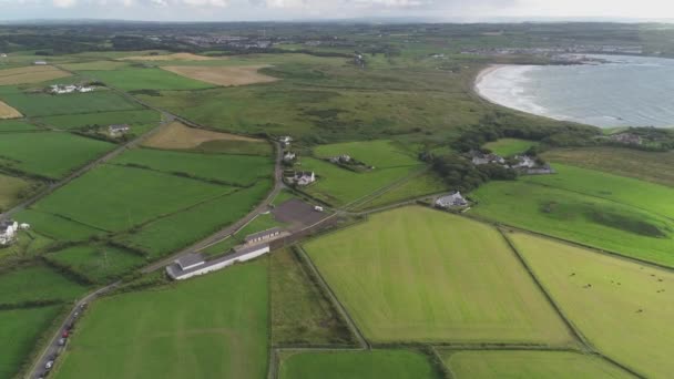Verde Irlanda Del Norte Verano Caminos Agrícolas Costa Del Mar — Vídeos de Stock