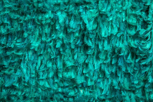 Bella Verde Scuro Tendenze Colore Vintage Piuma Texture Sfondo — Foto Stock