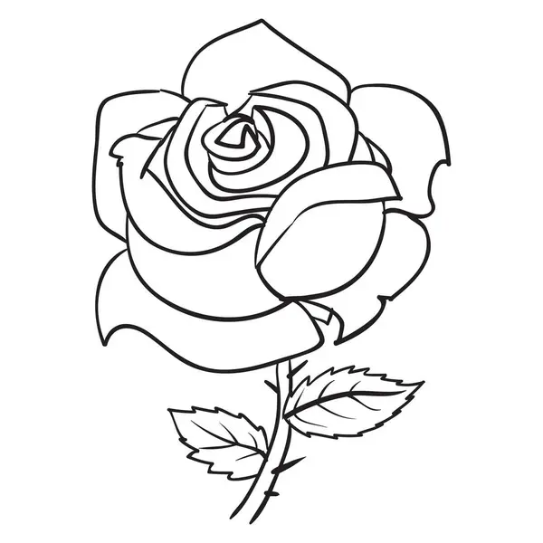 Троянда Квітка Ескіз Розмальовка Ізольований Єкт Білому Тлі Векторні Ілюстрації Ліцензійні Стокові Вектори