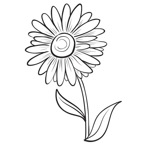 Kamille Blume Skizze Färbung Isoliertes Objekt Auf Weißem Hintergrund Vektorillustration Stockvektor
