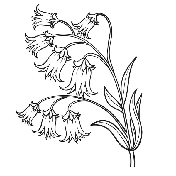 Дзвін Квітка Ескіз Розмальовка Ізольований Єкт Білому Тлі Векторні Ілюстрації Ліцензійні Стокові Ілюстрації
