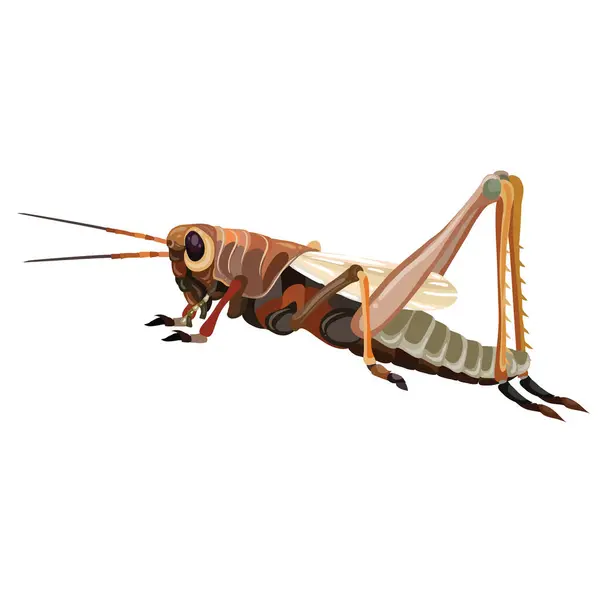 Image Digital Illustration Grasshopper Grasshopper Shown Profile Its Characteristic Long Illustration De Stock