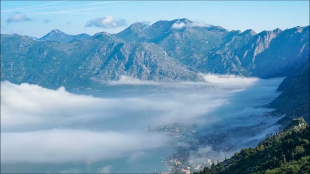광경을 배경으로 안개가 자욱하게 산등성이 몬테네그로 코토르 가밝게 빛난다 유람선 — 비디오