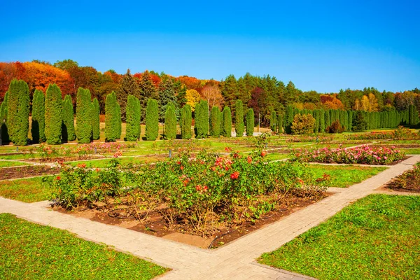 Rose garden in Kislovodsk National Park in Kislovodsk city, Russia