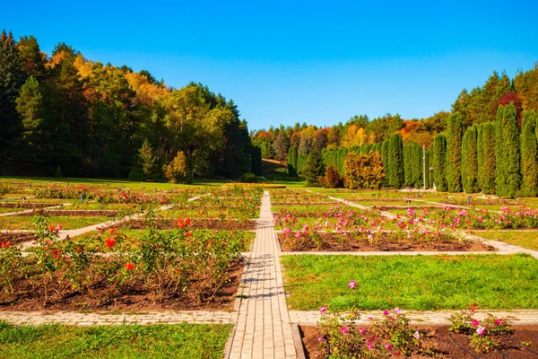 Rose garden in Kislovodsk National Park in Kislovodsk city, Russia
