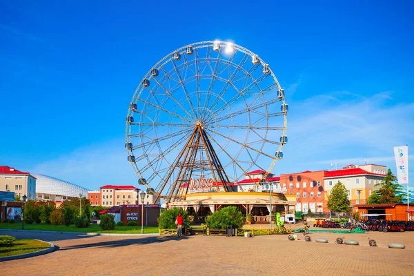Sotchi Russie Octobre 2020 Ferris Fheel Dans Parc Attractions Sotchi — Photo