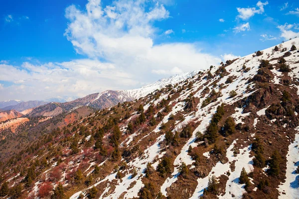 Beldersay Góra Zakresie Tian Shan Region Chimgan Pobliżu Miasta Taskent — Zdjęcie stockowe