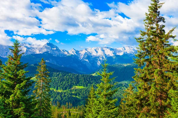 Δάσος Πεύκου Zugspitze Και Alpspitze Άλπεις Βουνά Εναέρια Πανοραμική Θέα — Φωτογραφία Αρχείου